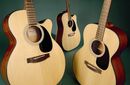 Takamine G220S-NS